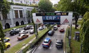 Singapore 'báo động' tình trạng vi phạm tốc độ trong giao thông đường bộ