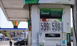 Giá dầu diesel tăng vọt làm khó chính cử tri ủng hộ Tổng thống Trump
