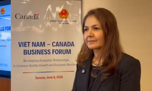 Chuyên gia Canada đánh giá cao bản lĩnh đối ngoại của Việt Nam
