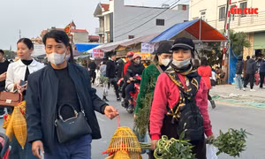 Dòng người tấp nập trẩy hội chợ Viềng