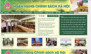 Tín dụng chính sách trở thành ‘bệ đỡ’ trao quyền kinh tế cho phụ nữ