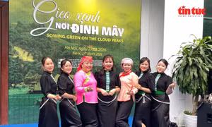 Những ‘bóng hồng’ Sa Pa gieo xanh nơi đỉnh mây