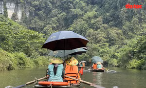 Du khách quốc tế 'yêu' Việt Nam vì nơi đây an toàn, thân thiện
