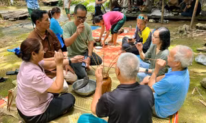 Sinh kế bền vững giúp nhiều hộ gia đình tại Phú Thọ vươn lên thoát nghèo