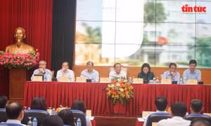Hoàn thiện thể chế, thúc đẩy chuyển đổi số và công nghiệp văn hóa