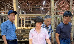 Xây dựng đề án định giá kinh tế di sản thế giới
