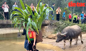 Khám phá ‘thiên nhiên trong tầm mắt’ tại các bản làng du lịch cộng đồng 