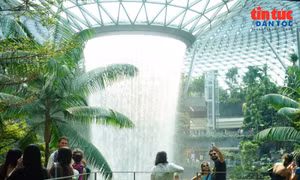 Chiêm ngưỡng thác nước nhân tạo lớn nhất thế giới giữa sân bay Singapore