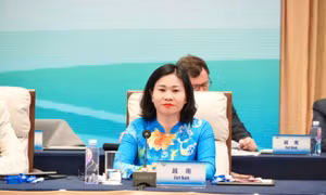 Ba đề xuất của Việt Nam thúc đẩy thực thi Tuyên bố và Cương lĩnh hành động Bắc Kinh 