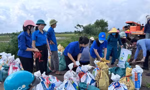 Trung ương Đoàn Thanh niên phát động chương trình ủng hộ đồng bào bị thiệt hại do bão số 10 