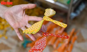 Chuồn chuồn tre ‘lên mạng’