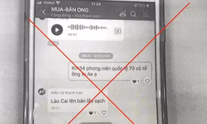 Xử lý nhóm đối tượng lập nhóm kín thông báo chốt tuần tra, kiểm soát giao thông 
