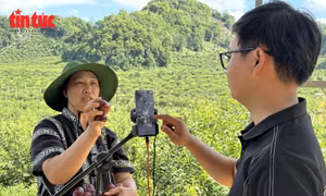 Phụ nữ Thủ đô chủ động sản xuất, kinh doanh nông sản an toàn 