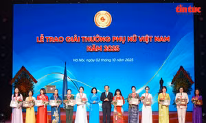 Nghệ nhân Nguyễn Thị Hải: Hồi sinh giống chè cổ, đưa hương trà quê vươn xa