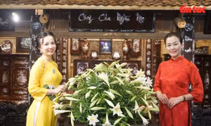 Khai mạc chuỗi hoạt động văn hóa tại phố cổ nhân kỷ niệm 50 năm ngày Giải phóng miền Nam 