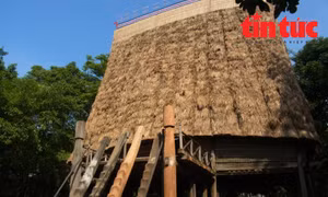 Gìn giữ biểu tượng văn hóa Tây Nguyên tại Bảo tàng Dân tộc học Việt Nam
