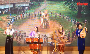 Chuyên gia Phạm Thái Hưng: Lồng ghép giới phải thực chất, không chỉ là khẩu hiệu