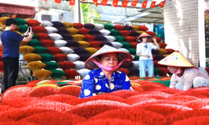 Quảng Phú Cầu - Sắc hương giữa lòng làng Việt 
