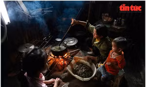 80 năm Quốc khánh: Việt Nam khẳng định cam kết vì sức khỏe sinh sản và bình đẳng giới