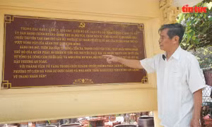 Tứ Tổng - Sáng danh địa chỉ đỏ