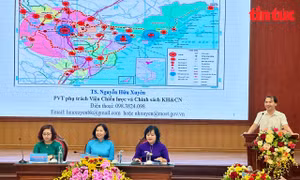 Hỗ trợ phụ nữ phát huy khởi nghiệp và đổi mới sáng tạo 