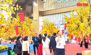 Sắc xuân phương Nam rộn ràng tại Hội chợ Mùa Xuân 2026