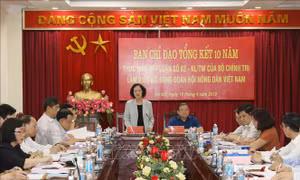 Trưởng ban Dân vận Trung ương: Nông dân có vai trò quan trọng trong xây dựng nông thôn mới 