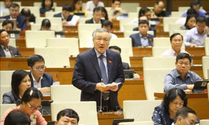 Tin nổi bật ngày 9/11