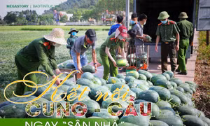 Kết nối cung - cầu ngay 'sân nhà'