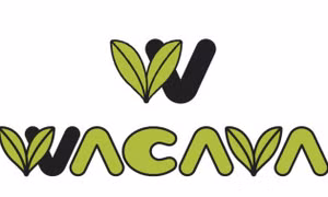 Dự án WACAVA của Sony Music tổ chức các buổi thử giọng hát lại bài hát Nhật trên khắp thế giới