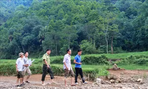 Phát triển kinh tế vùng Trung du và miền núi Bắc bộ - Bài 1: Phát triển kinh tế rừng gắn với chế biến sâu