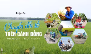 Chuyển đổi số trên cánh đồng