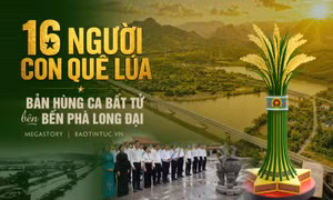 16 người con quê lúa - bản hùng ca bất tử bên bến phà Long Đại
