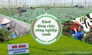 Khơi dòng chảy nông nghiệp xanh