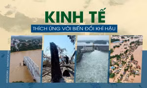 Kinh tế thích ứng với biến đổi khí hậu