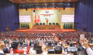 Thông tin trích ngang của toàn bộ 200 Ủy viên Ban Chấp hành Trung ương Đảng khóa XIV