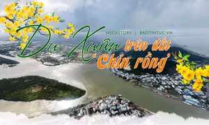 Du Xuân trên đất 'chín Rồng'
