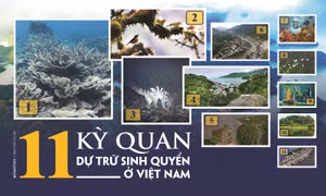 11 'kỳ quan' dự trữ sinh quyển ở Việt Nam