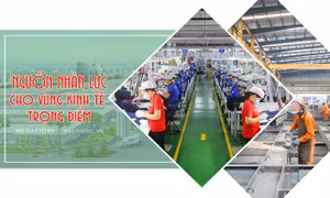 Nguồn nhân lực cho vùng kinh tế trọng điểm