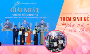 Thêm sinh kế cho phụ nữ yếu thế