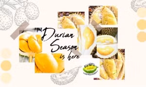 Kungfu Durian sẽ đáp ứng mọi nhu cầu của khách hàng Singapore trong mùa sầu riêng năm nay