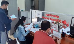 Hà Nội tạm dừng thực hiện rà soát thông tin của học sinh