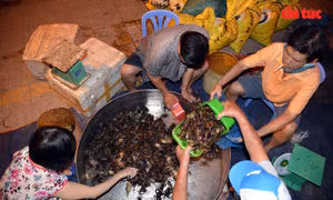 Chợ cua gần nửa thế kỷ ở TP Hồ Chí Minh ngày họp 3 tiếng, tan trước hừng đông