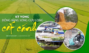 Kỳ vọng Đồng bằng sông Cửu Long cất cánh 