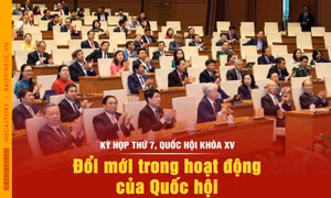 Kỳ họp thứ 7, Quốc hội khóa XV: Đổi mới trong hoạt động của Quốc hội