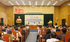 Hiệu quả từ ứng dụng công nghệ cao vào sản xuất nông nghiệp