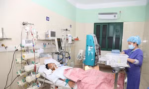Số ca ghép tạng tăng cao kỷ lục trong tuần qua