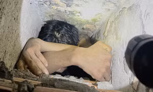 Kẻ trộm mắc kẹt trong 'ống khói' nhờ công an giải cứu