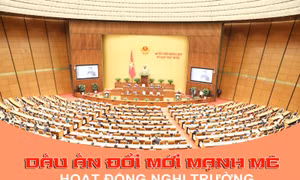 Dấu ấn đổi mới mạnh mẽ hoạt động nghị trường