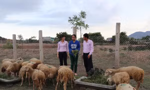 Chính sách của Đảng về nơi khô hạn: Bài 1 - Điểm tựa của đồng bào
